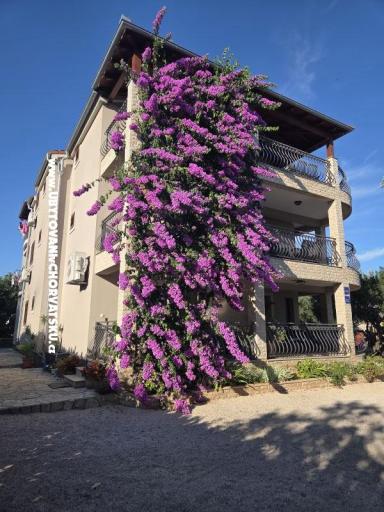 Apartmani Silvija – foto 19
