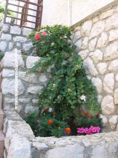 Apartmani Šimun – foto 10