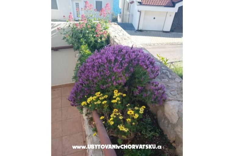 Apartmani Šimun – foto 11