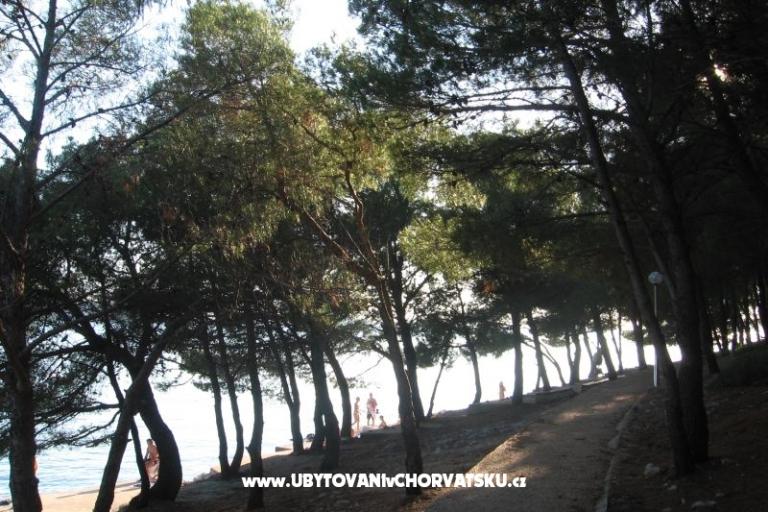 Apartmani Šimun – foto 25