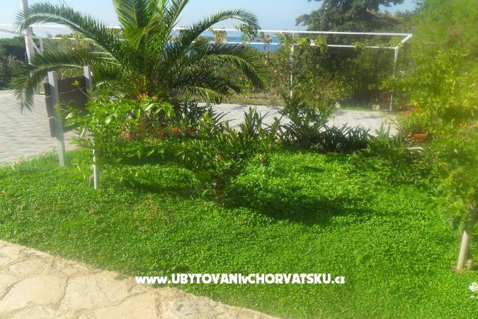Apartmani Leo – foto 13