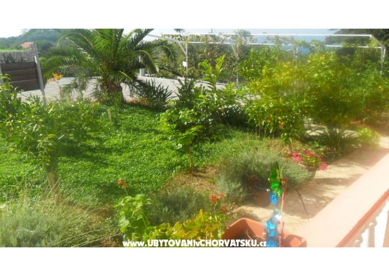 Apartmani Leo – foto 22