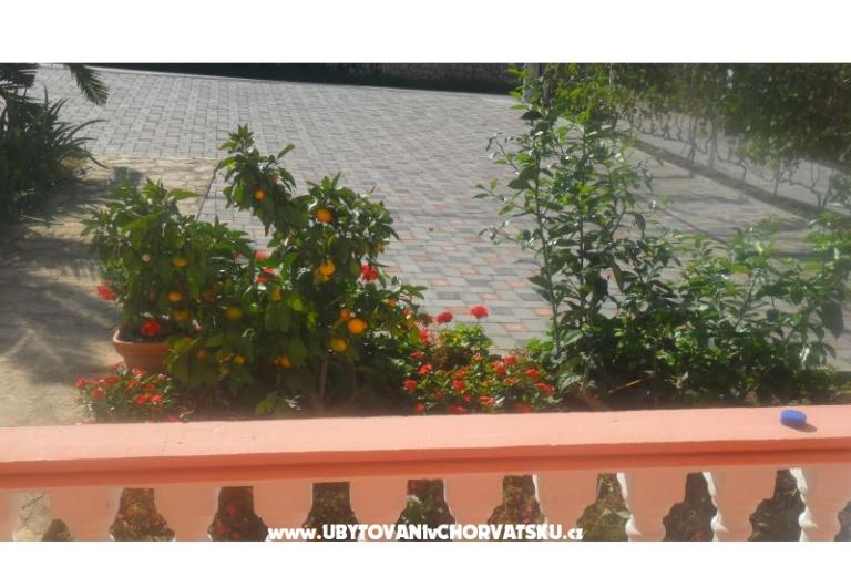 Apartmani Leo – foto 24