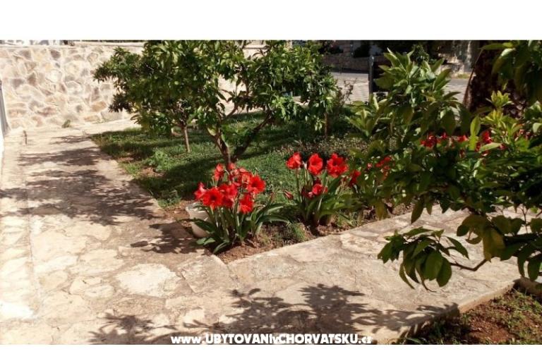 Apartmani Leo – foto 38
