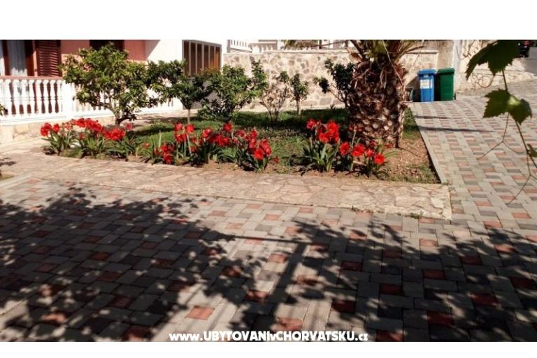 Apartmani Leo – foto 4