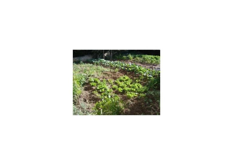 Apartmani Rosan Pakostane – foto 15