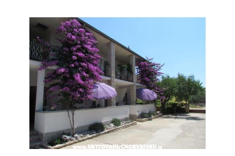 Apartmani Pipi – foto 3