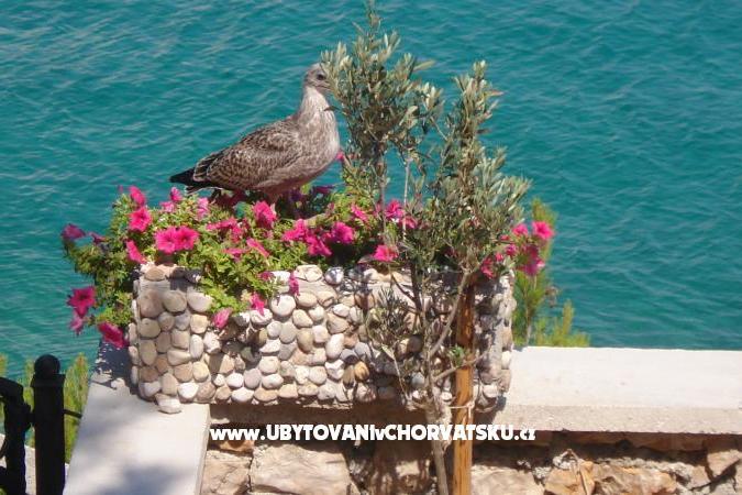 Kuća Vrgada – foto 9