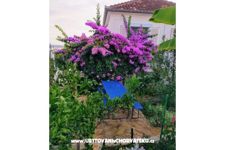 Apartmani Marija-Tkon – foto 10