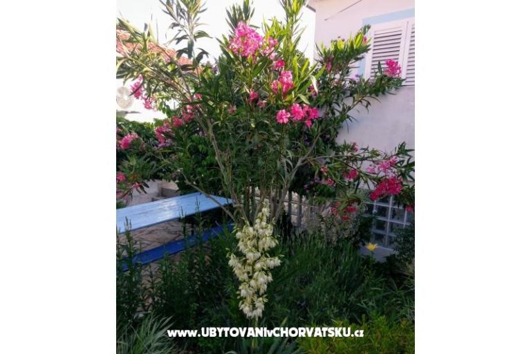 Apartmani Marija-Tkon – foto 3
