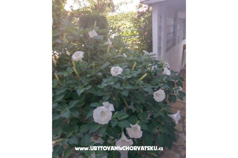 Apartmani Marija-Tkon – foto 6