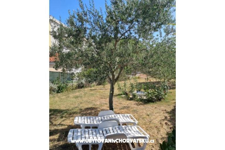 Apartmani Lokva – foto 14
