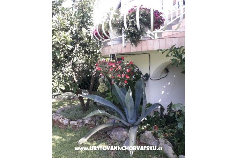 Apartmani Lokva – foto 4