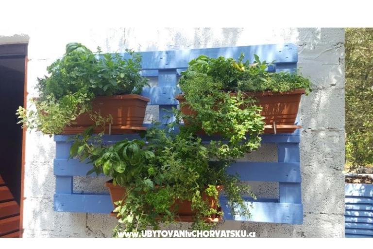 Apartmani Maris – foto 16
