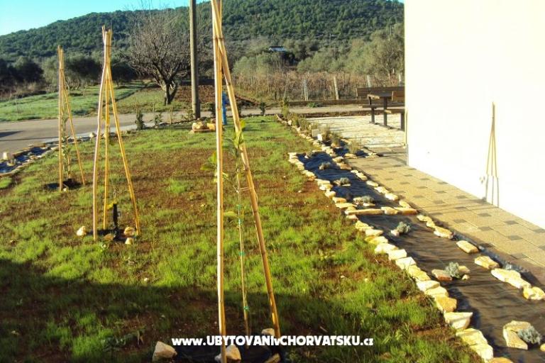 Apartmani Pašman – foto 16