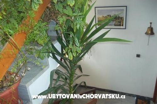 Apartmani Dragica Pedisic – foto 9