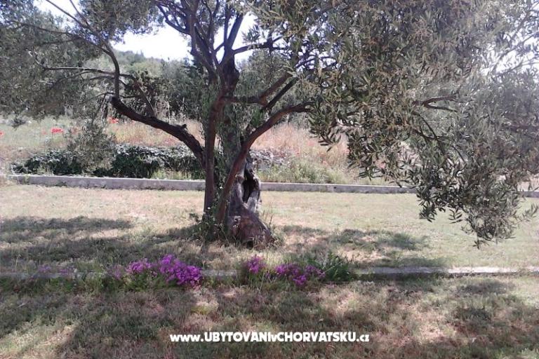 Apartmani Villa Banjka – foto 17