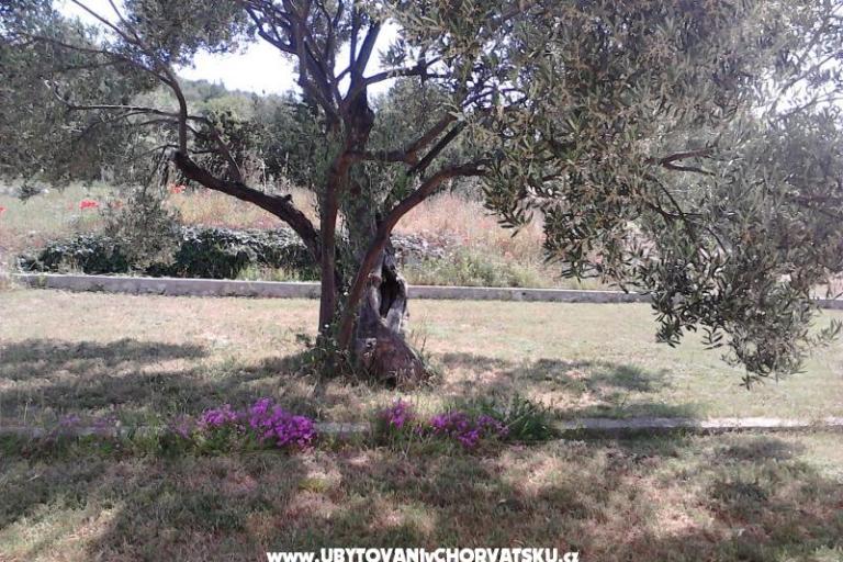 Apartmani Villa Banjka – foto 8