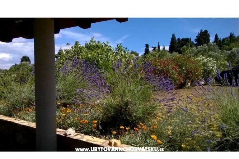 Apartmani Villa Banjka – foto 9