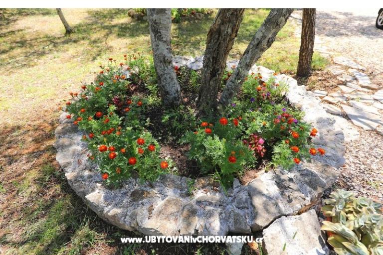 Apartmani Suzana – foto 18