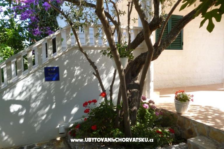 Apartmani Suzana – foto 9