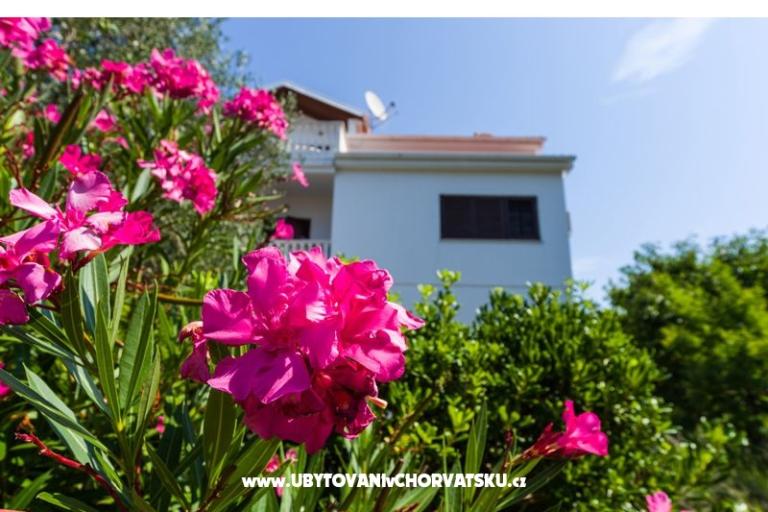 Apartmani Ivanka – foto 4