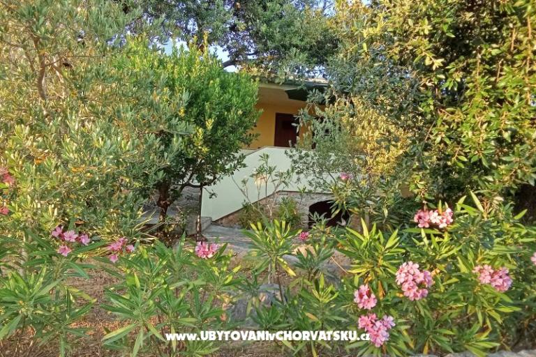 Apartmani Dani – foto 22