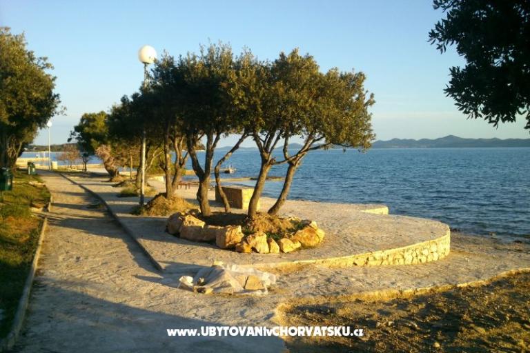 Apartmani Dani – foto 8