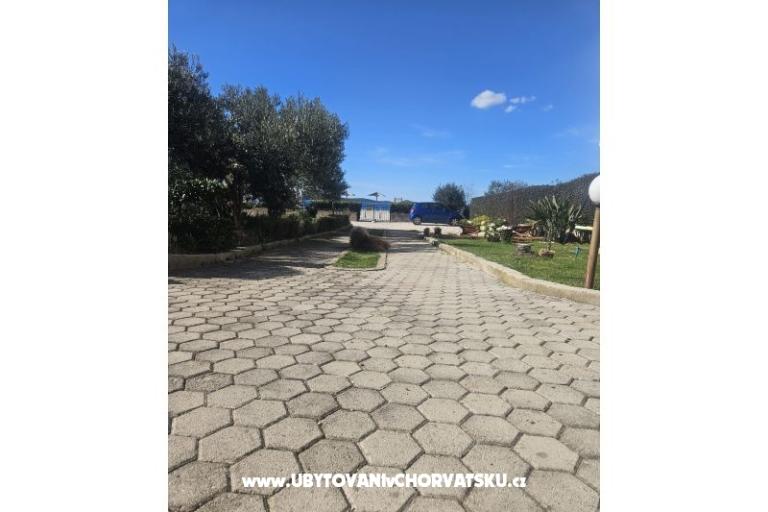 Apartmani Anka Šinkić – foto 21