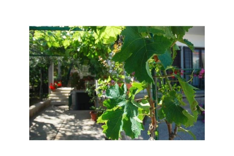 Apartmani Danica – foto 3