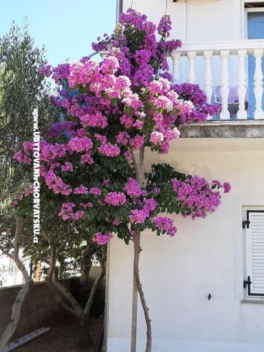 Apartmani Lana Pirovac – foto 2