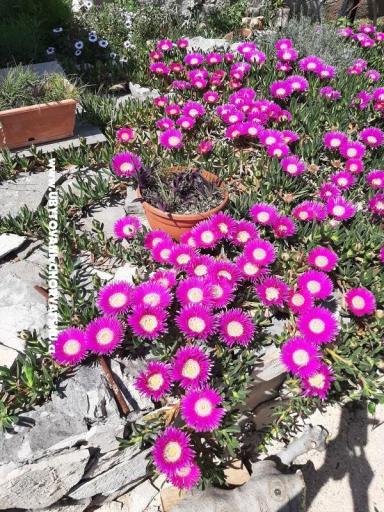 Apartmani Lana Pirovac – foto 23