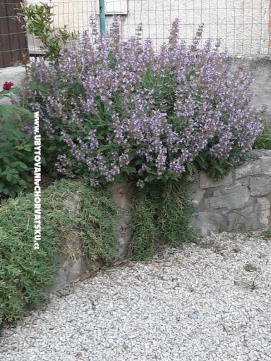 Apartmani Lana Pirovac – foto 26