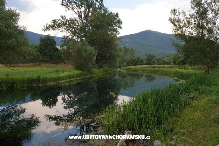 Apartmani Paradiso – foto 10