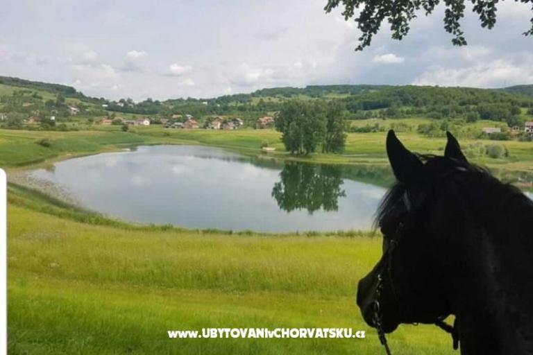 Apartmani Paradiso – foto 7