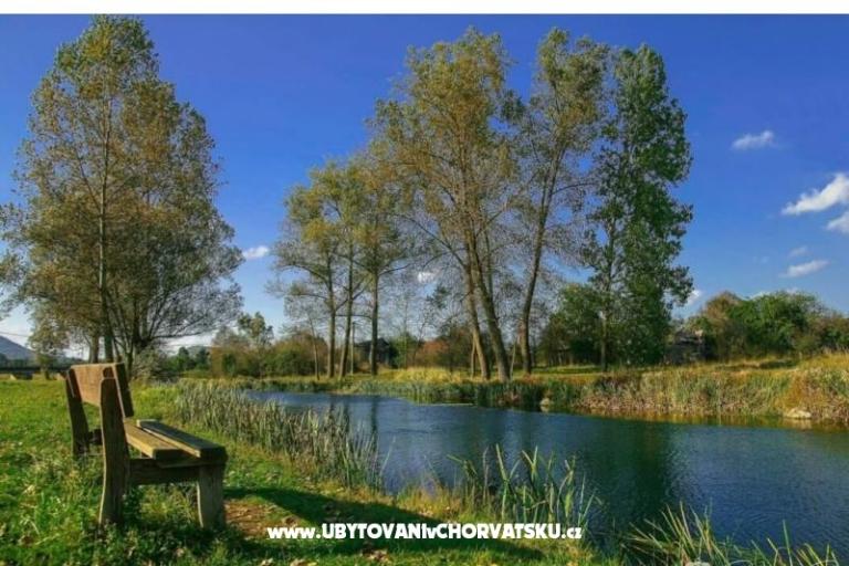 Apartmani Paradiso – foto 8