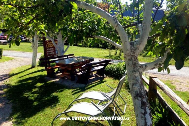 Guest Kuća Lipov Hlad – foto 11