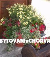 Kuća Spoljaric – foto 7