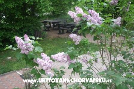 Sobe Veronika – foto 13