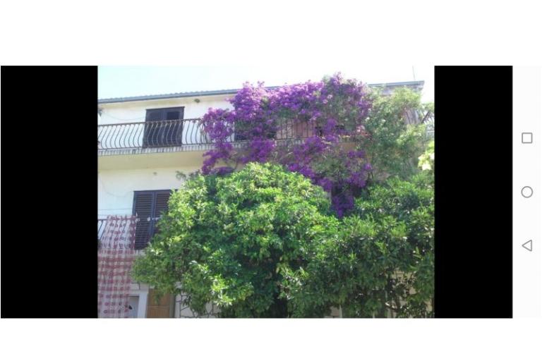Apartmani Raos – foto 18