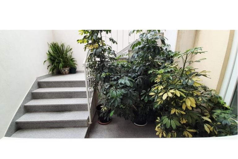 Apartmani Mila – foto 4