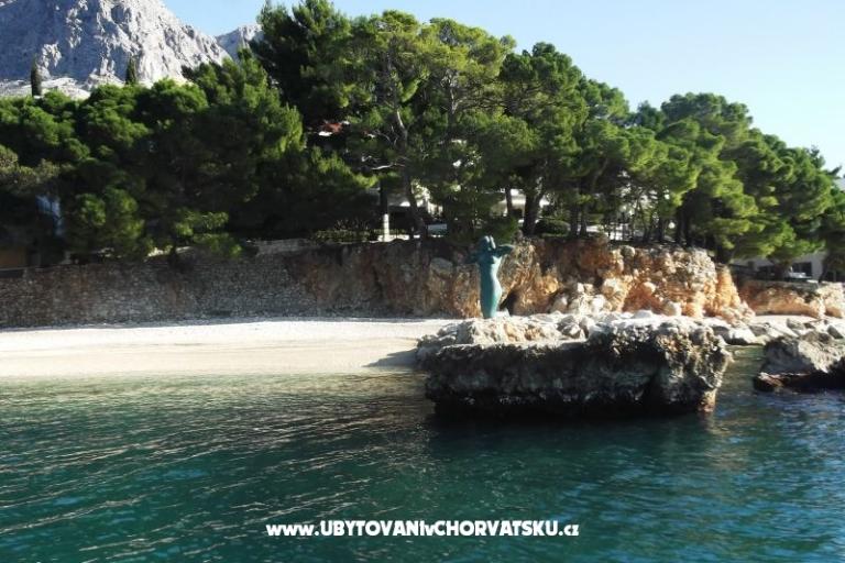 Apartmani Zubac – foto 10