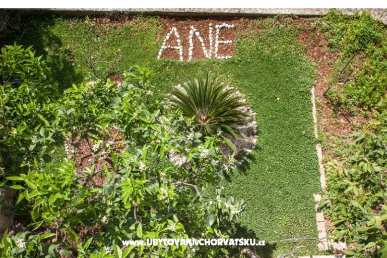 Apartmani Ane – foto 8