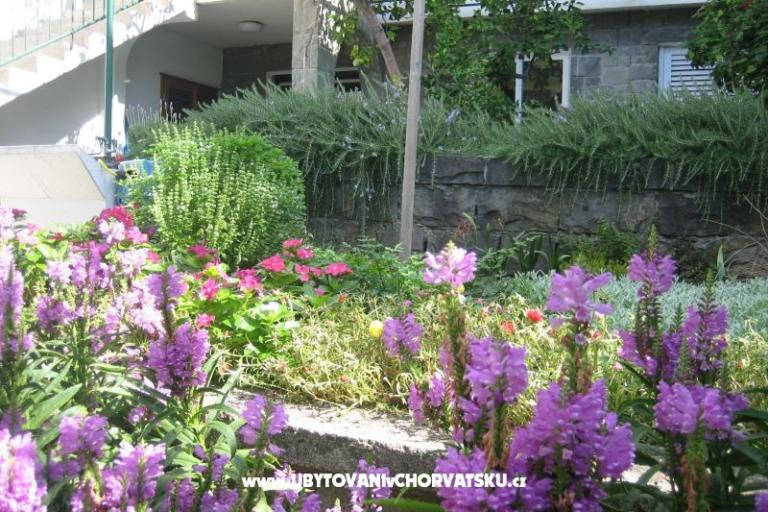Apartmani Draga – foto 3