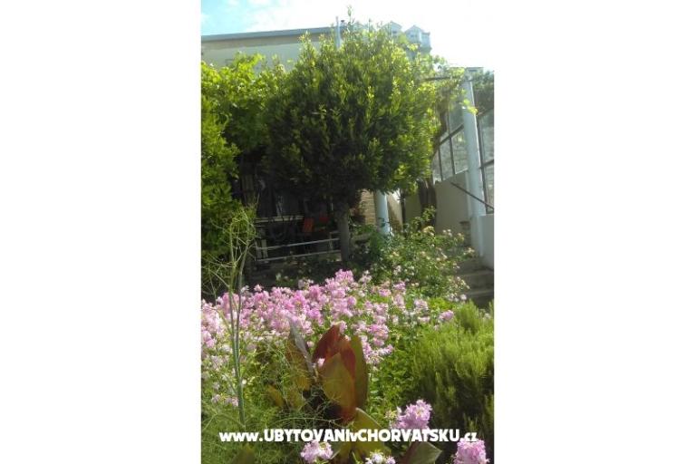 Apartman Adria – foto 10