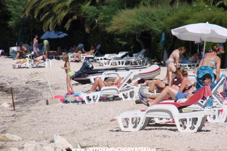 Apartmani Bašković – foto 10