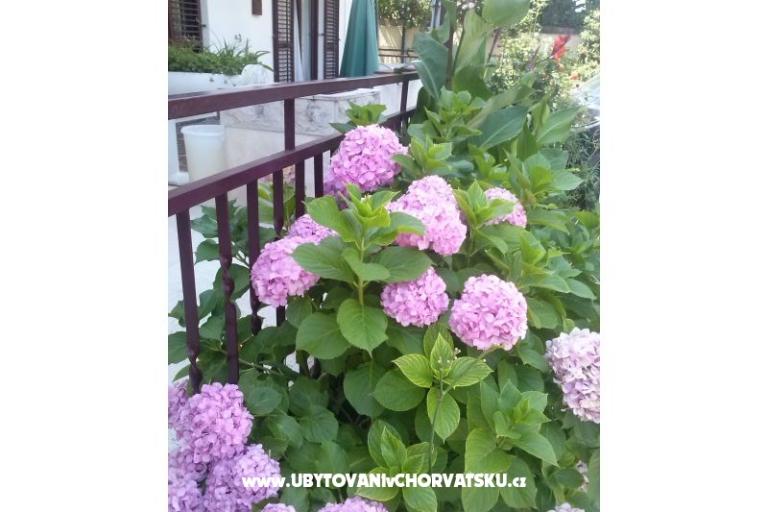 Apartmani Dana – foto 11