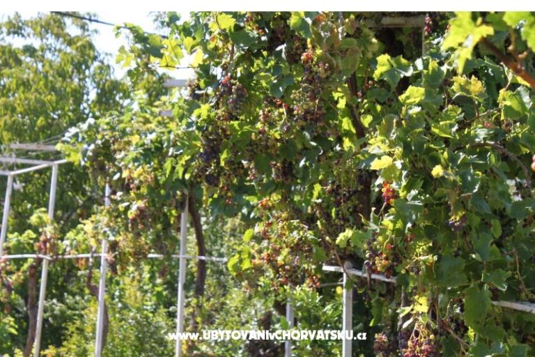 Apartmani Jasna – foto 17