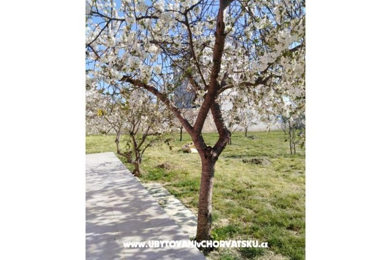 Apartmani Renić – foto 13