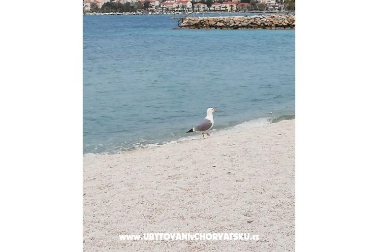 Apartmani Plave oči  – foto 6